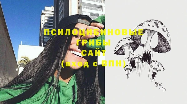 гидра Алзамай