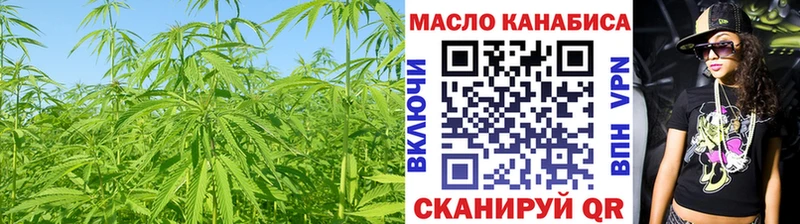 где купить Оленегорск Дистиллят ТГК THC oil