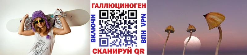 ОМГ ОМГ зеркало  Оленегорск  Псилоцибиновые грибы Magic Shrooms 